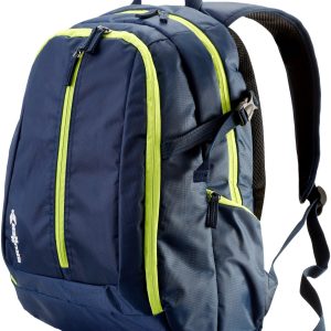 Termo torba Friobag Daypack